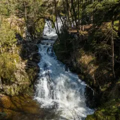 Un torrent dévale une cascade rocheuse, le saut du bouchot, au cœur d'une forêt verdoyante. L'eau blanche et écumeuse contraste avec les rochers sombres et la végétation luxuriante.