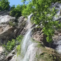 La cascade de Luizet dévale une falaise rocheuse verdoyante, baignée par le soleil. L'eau scintille sur la mousse.