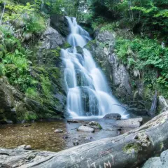 La cascade de Chorsin dévale une paroi rocheuse verdoyante, son eau se jetant dans un bassin clair. Un tronc d'arbre repose au premier plan.