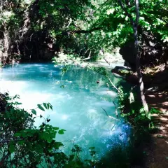 Magnifique cascade près de Gréoux-les-Bains, aux eaux turquoise, nichée dans une végétation luxuriante.
