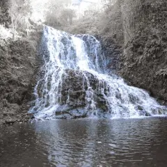 La cascade des Saliens dévale une paroi rocheuse verdoyante, se jetant dans un bassin paisible.