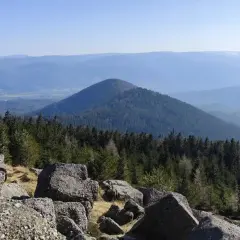 Vue panoramique depuis le rocher de Mutzig, avec une forêt dense et une montagne conique en arrière-plan.