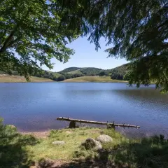 Calme et serein, le lac des Pises reflète le ciel bleu. Des arbres ombragent ses rives verdoyantes.