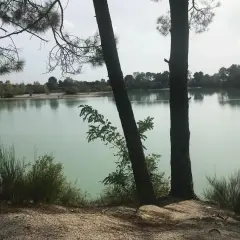 Deux pins se dressent sur la rive sablonneuse du lac de Paloumey, dont les eaux calmes reflètent le ciel.