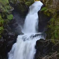 La piscia di l'onda, une cascade puissante dévale des rochers verdoyants, créant un spectacle naturel saisissant.