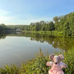 Une souris en robe rose profite d'une balade en forêt autour de moi, au bord d'un lac paisible reflétant un château.