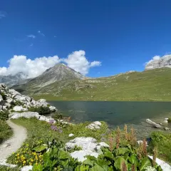 Sentier rocailleux bordant le lac de la Plagne, avec des montagnes verdoyantes et un ciel bleu éclatant.