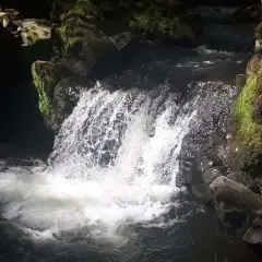 La cascade de Chiloza déverse ses eaux tumultueuses sur des rochers moussus, créant un spectacle naturel saisissant dans la pénombre d'une forêt.