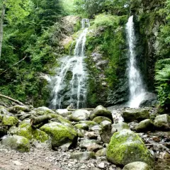 La cascade du Heidenbad dévale une falaise rocheuse verdoyante, entourée d'une forêt luxuriante. Des rochers moussus bordent le cours d'eau en contrebas.