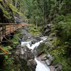 Sentier en bois longeant une cascade tumultueuse dans les gorges du Fier, au cœur d'une forêt verdoyante.