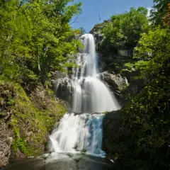 Une cascade de runes, où l'eau tombe en un voile blanc sur la roche, entourée d'une végétation luxuriante.