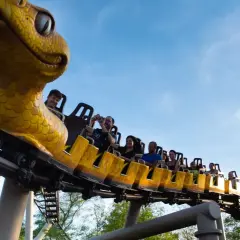 Un train de montagnes russes en forme de serpent jaune emmène des passagers joyeux dans le ciel bleu. Une idée pour que faire ce dimanche dans le 43 ?