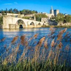 Le Pont d'Avignon et le Palais des Papes se reflètent dans le Rhône. Une belle balade à faire autour de moi, avec des roseaux dansant au vent.
