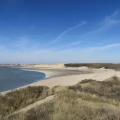 Vue panoramique de la baie d'Authie, avec ses dunes, sa plage de sable fin et sa forêt. Un bel itinéraire pour une promenade.