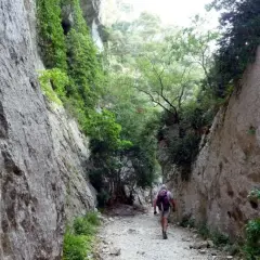 Randonneur seul dans les gorges du Récalon, chemin rocailleux bordé de falaises abruptes et de végétation luxuriante. Fermeture du sentier annoncée.