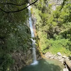 Une belle cascade de seris tombe dans un bassin d'eau claire, entourée de végétation luxuriante et de rochers.