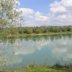 Le lac de Beaupuy, paisible sous un ciel bleu parsemé de nuages blancs, reflète la végétation luxuriante de ses rives.