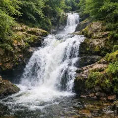 La cascade des Jarrauds dévale une pente rocheuse verdoyante, ses eaux vives se jetant dans un bassin limpide.