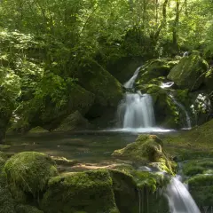 Une randonneuse admire un petit cirque de consolation, une cascade paisible au cœur d'une forêt luxuriante.