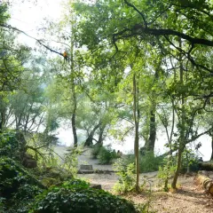 Arbres verdoyants et sentier sablonneux au parc de la Feyssine. Deux personnes profitent du calme au bord de l'eau.