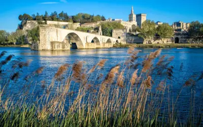 Le Pont d'Avignon et le Palais des Papes se reflètent dans le Rhône. Une belle balade à faire autour de moi, avec des roseaux dansant au vent.
