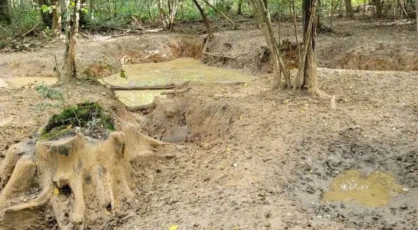 Un sentier boueux et des flaques d'eau dans une forêt, rappelant les chemins accidentés du massif des Trois Pignons.