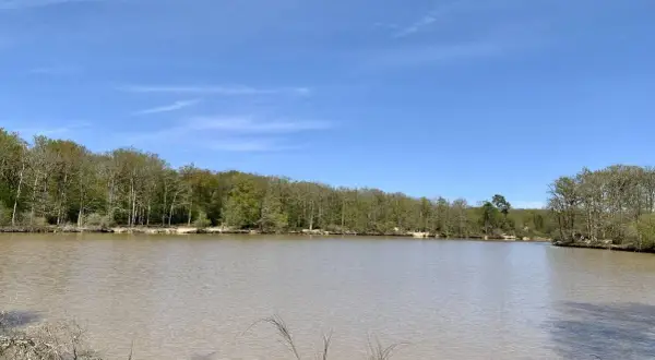 Calme lac bordé par la forêt de Bouconne, idéal pour un itinéraire de randonnée paisible.