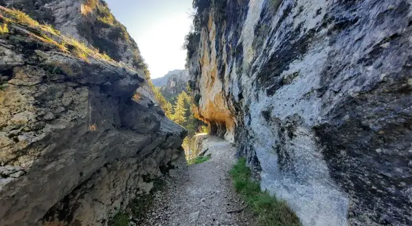 Sentier rocailleux serpentant entre les falaises imposantes des gorges de Trévans. Le soleil perce à travers la roche, illuminant le chemin.