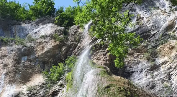 La cascade de Luizet dévale une falaise rocheuse verdoyante, baignée par le soleil. L'eau scintille sur la mousse.