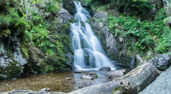 La cascade de Chorsin dévale une paroi rocheuse verdoyante, son eau se jetant dans un bassin clair. Un tronc d'arbre repose au premier plan.