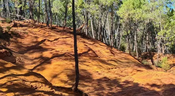 Sentier de randonnée à travers les ocres de Mormoiron, avec des pins et des ombres mouvantes sur le sol rougeoyant.