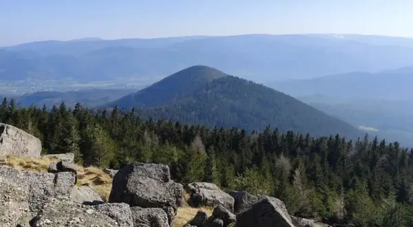 Vue panoramique depuis le rocher de Mutzig, avec une forêt dense et une montagne conique en arrière-plan.