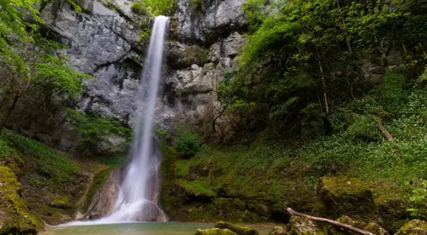 La cascade de la quinquenouille dévale une falaise rocheuse, entourée d'une végétation luxuriante et verdoyante. L'eau forme un bassin clair au pied de la chute.