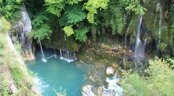 Les cascades du Saut du Loup dévalent une falaise verdoyante dans un bassin d'eau turquoise. Un spectacle naturel saisissant.