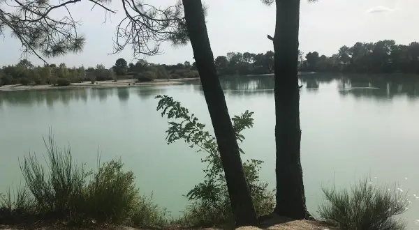 Deux pins se dressent sur la rive sablonneuse du lac de Paloumey, dont les eaux calmes reflètent le ciel.