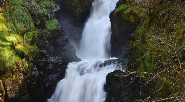 La piscia di l'onda, une cascade puissante dévale des rochers verdoyants, créant un spectacle naturel saisissant.