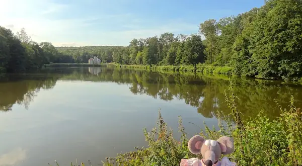 Une souris en robe rose profite d'une balade en forêt autour de moi, au bord d'un lac paisible reflétant un château.