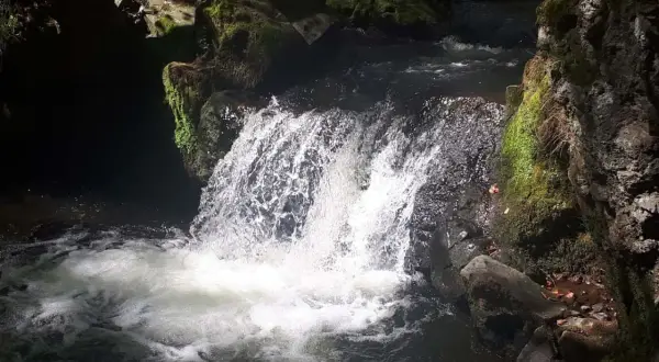 La cascade de Chiloza déverse ses eaux tumultueuses sur des rochers moussus, créant un spectacle naturel saisissant dans la pénombre d'une forêt.