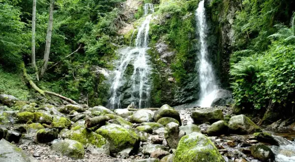 La cascade du Heidenbad dévale une falaise rocheuse verdoyante, entourée d'une forêt luxuriante. Des rochers moussus bordent le cours d'eau en contrebas.