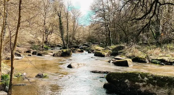 Un ruisseau serpente à travers un paysage rocheux, évoquant le chaos du gouet. Les arbres nus bordent la rive, leurs branches s'étendant vers le ciel.