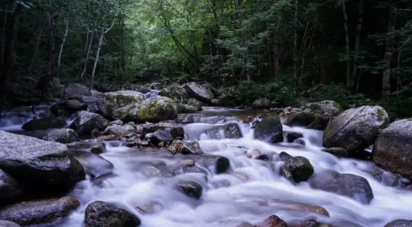 L'eau vive serpente entre les rochers moussus des gorges de la Carança, dans une forêt dense et ombragée.