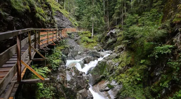 Sentier en bois longeant une cascade tumultueuse dans les gorges du Fier, au cœur d'une forêt verdoyante.