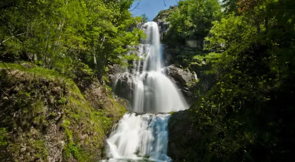 Une cascade de runes, où l'eau tombe en un voile blanc sur la roche, entourée d'une végétation luxuriante.