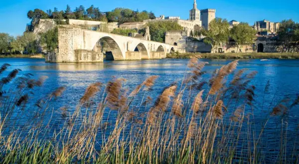 Le Pont d'Avignon et le Palais des Papes se reflètent dans le Rhône. Une belle balade à faire autour de moi, avec des roseaux dansant au vent.
