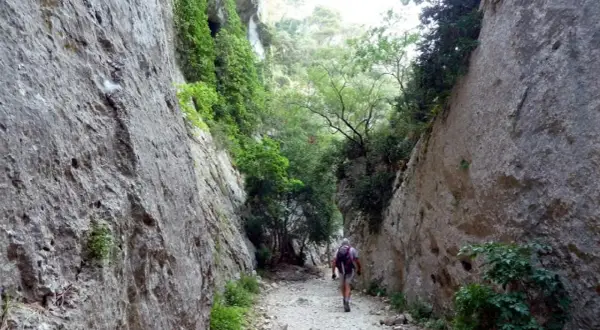 Randonneur seul dans les gorges du Récalon, chemin rocailleux bordé de falaises abruptes et de végétation luxuriante. Fermeture du sentier annoncée.