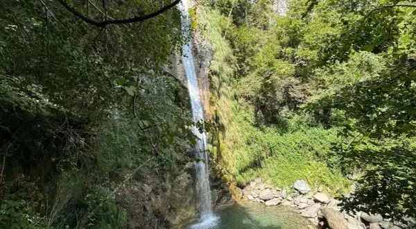 Une belle cascade de seris tombe dans un bassin d'eau claire, entourée de végétation luxuriante et de rochers.
