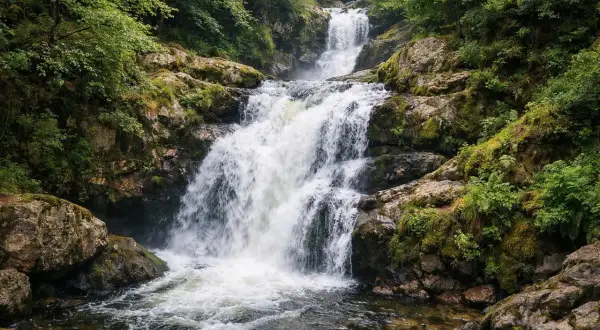 La cascade des Jarrauds dévale une pente rocheuse verdoyante, ses eaux vives se jetant dans un bassin limpide.