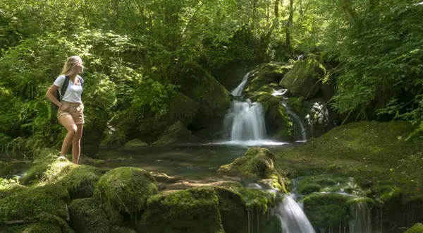 Une randonneuse admire un petit cirque de consolation, une cascade paisible au cœur d'une forêt luxuriante.