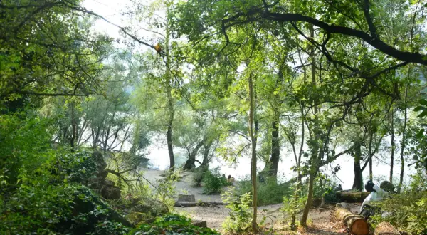 Arbres verdoyants et sentier sablonneux au parc de la Feyssine. Deux personnes profitent du calme au bord de l'eau.