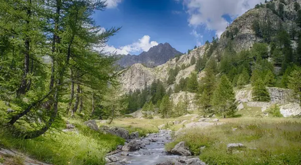 Un ruisseau serpente à travers une prairie verdoyante, bordée d'arbres et de rochers, menant à des montagnes escarpées sous un ciel bleu dans le parc de la Valmasque.